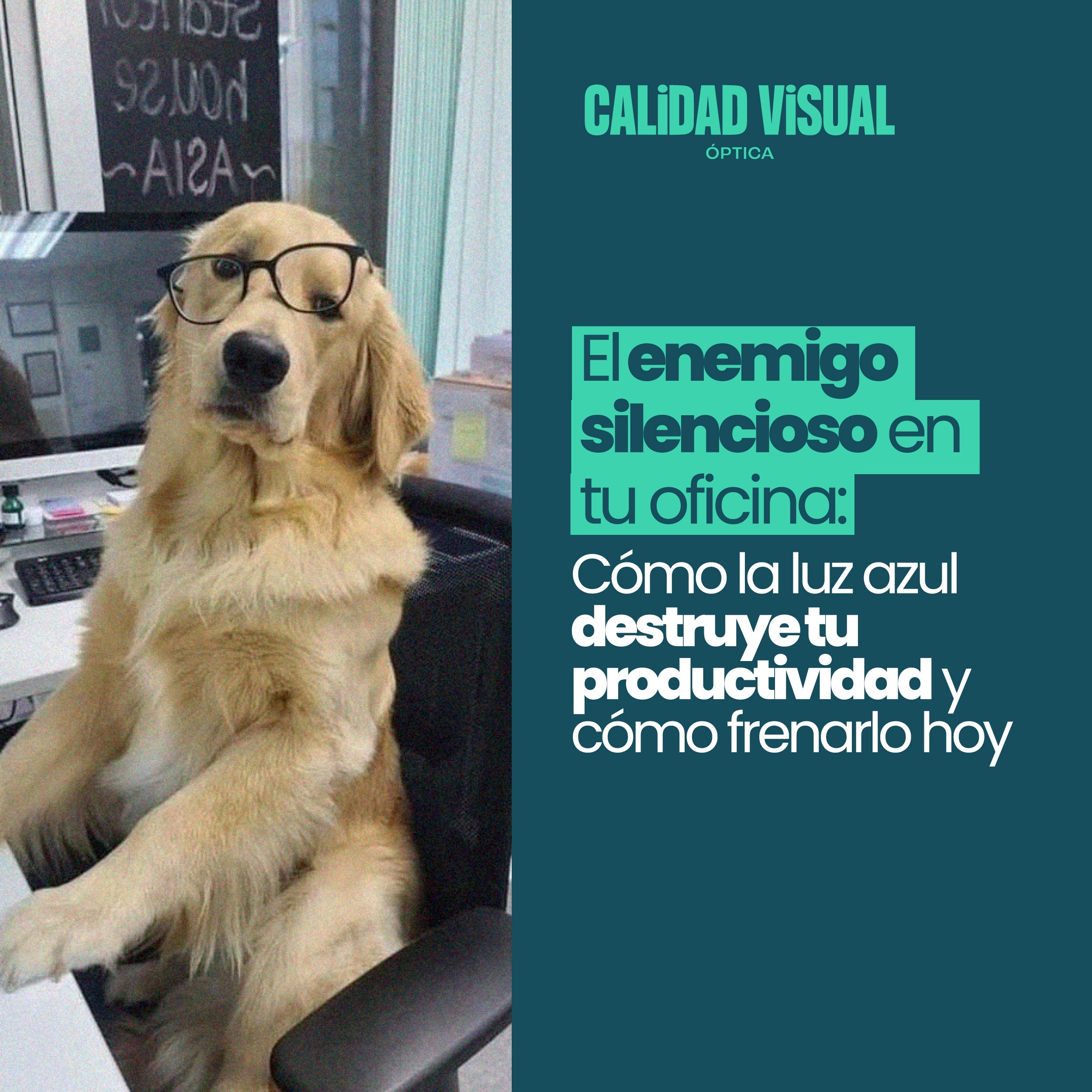 El enemigo silencioso en tu oficina: Cómo la luz azul destruye tu productividad y cómo frenarlo hoy