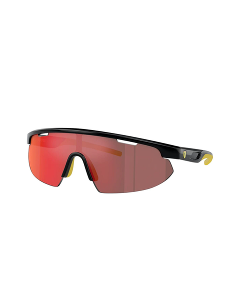Gafas de Sol FERRARI FZ6004